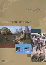 The Crisis Hits Home: Stress-Testing Households in Europe and Central Asia