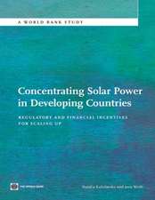 Concentrating Solar Power in Developing Countries: Regulatory and Financial Incentives for Scaling Up