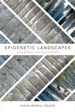 Epigenetic Landscapes – Drawings as Metaphor