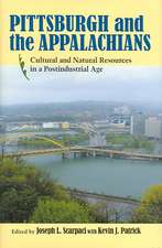 Pittsburgh and the Appalachians: Cultural and Natural Resources in a Postindustrial Age