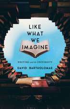 Like What We Imagine: Writing and the University