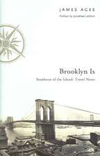 Brooklyn Is – Southeast of the Island: Travel Notes