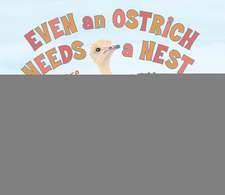 Even an Ostrich Needs a Nest: Where Birds Begin