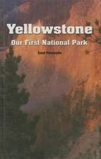 Yellowstone: Our First National Park