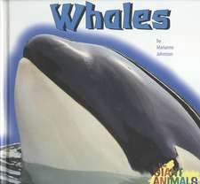 Whales