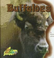 Buffaloes