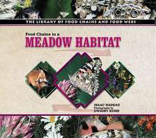 Food Chains in a Meadow Habitat