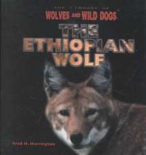 Ethiopian Wolf