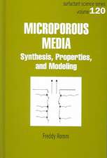 Microporous Media: Synthesis, Properties, and Modeling