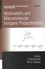 Multimetallic and Macromolecular Inorganic Photochemistry