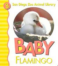 Baby Flamingo San Diego Zoo: 100 Reflections on the Ways God's Love Keeps Us Growing [With Journal]