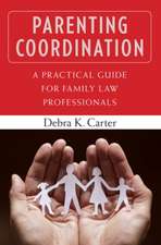 Parenting Coordination: A Practical Guide for Family Law Professionals