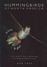 Hummingbirds of North America: Attracting, Feeding, and Photographing