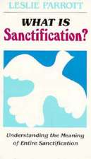 What Is Sanctification?: Understanding the Meaning of Entire Sanctification