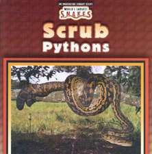 Scrub Pythons