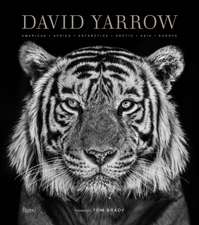 Yarrow, D: David Yarrow Photography