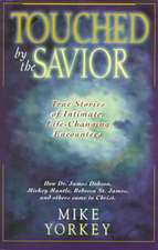 Touched by the Savior: Compelling Stories of Lives Changed by the Master's Hand