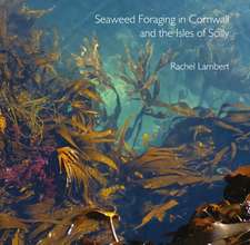 Seaweed Foraging in Cornwall and the Isles of Scilly