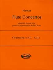 Concerto No. 1 in G, K.313