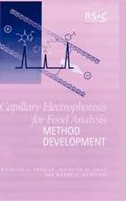 Capillary Electrophoresis for Food Analysis: Method Development Monograph