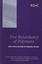 Fire Retardancy of Polymers