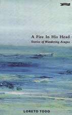 A Fire in His Head: The Adventures of Wandering Aengus