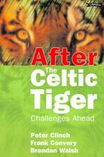 After the Celtic Tiger: Challenges Ahead