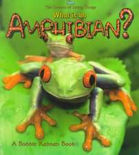 What Is an Amphibian?