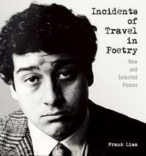 Incidents of Travel in Poetry