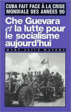 Che Guevara Et La Lutte Pour Le Socialisme Aujourd'hui