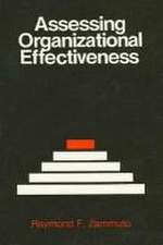 Assessing Organizational Effectiveness