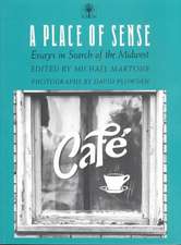 A Place Of Sense: Essays In Search Of Midwest