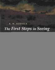 The First Steps in Seeing