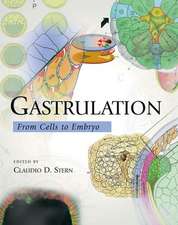 Gastrulation