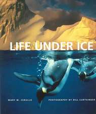 Life Under Ice