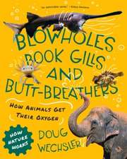 Blowholes, Book Gills, and Butt–Breathers – How Animals Get Their Oxygen