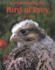 Understanding the Bird of Prey