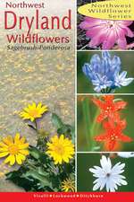 Northwest Dryland Wildflowers: Of the Sagebrush and Ponderosa