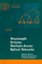 WDMA OPTICAL NETWORKS