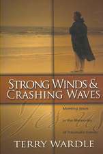 Strong Winds & Crashing Waves: Meeting Jesus in the Memories of Traumatic Events