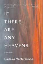 If There Are Any Heavens – A Memoir