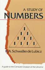 Study of Numbers