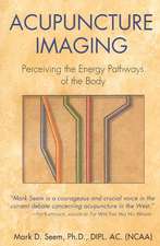 Acupuncture Imaging: Perceiving the Energy Pathways of the Body