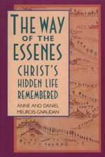 Way of the Essenes: Christ's Hidden Life Remembered