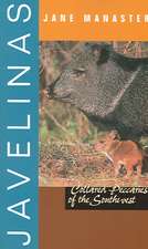 Javelinas: Collared Peccaries of the Southwest