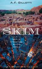 Skim: A Novel of International Banking Intrigue