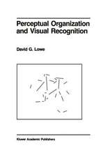 Perceptual Organization and Visual Recognition