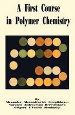 A First Course in Polymer Chemistry