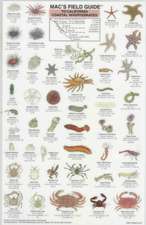 California Coastal Invertebrates