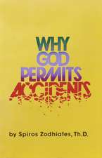 Why God Permits Accidents